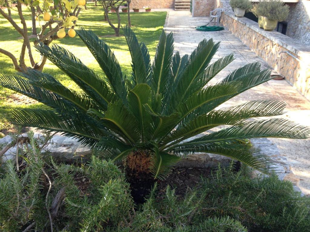 أوترانتو Agriturismo Terra Rossa المظهر الخارجي الصورة