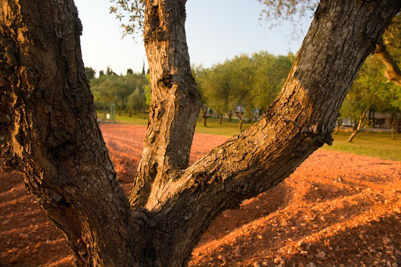 أوترانتو Agriturismo Terra Rossa المظهر الخارجي الصورة